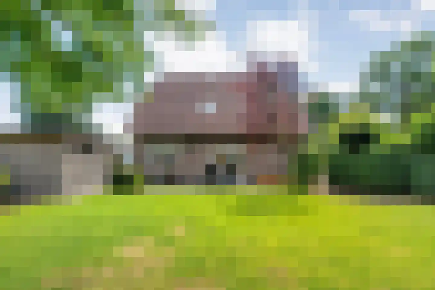 Goudplevier 2 Raalte thumbnail 65
