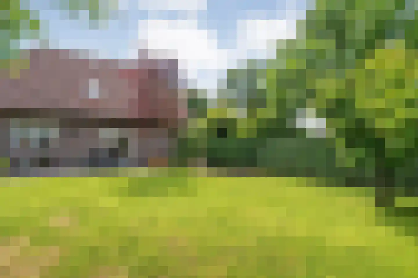 Goudplevier 2 Raalte thumbnail 66