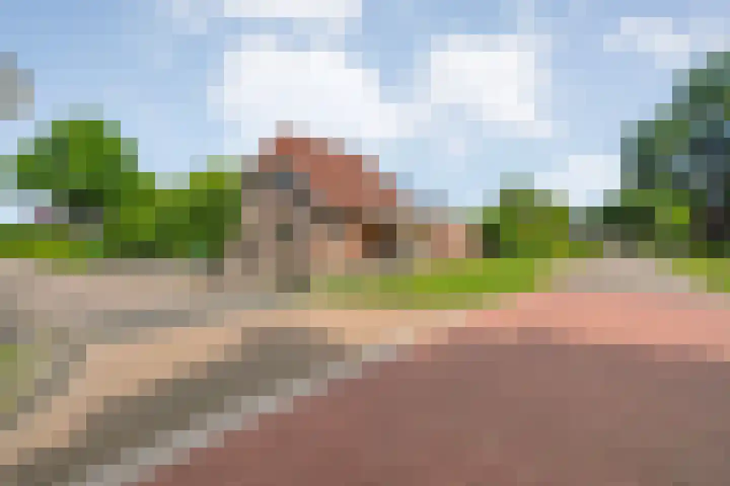 Goudplevier 2 Raalte thumbnail 7