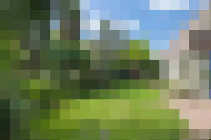 Goudplevier 25 Ouderkerk aan de Amstel thumbnail 18