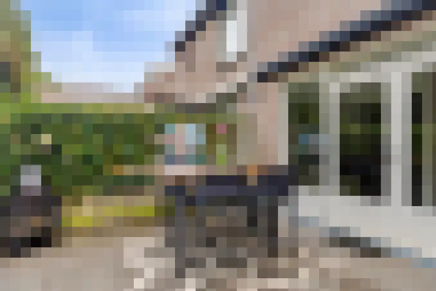 Goudplevier 31 's-Hertogenbosch thumbnail 10