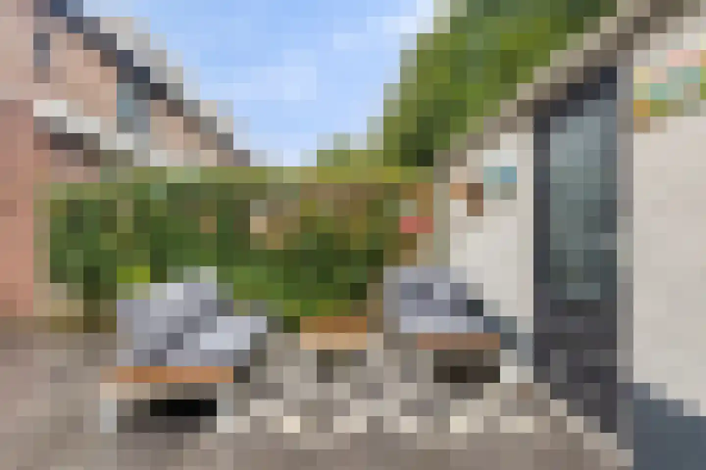 Goudplevier 31 's-Hertogenbosch thumbnail 12