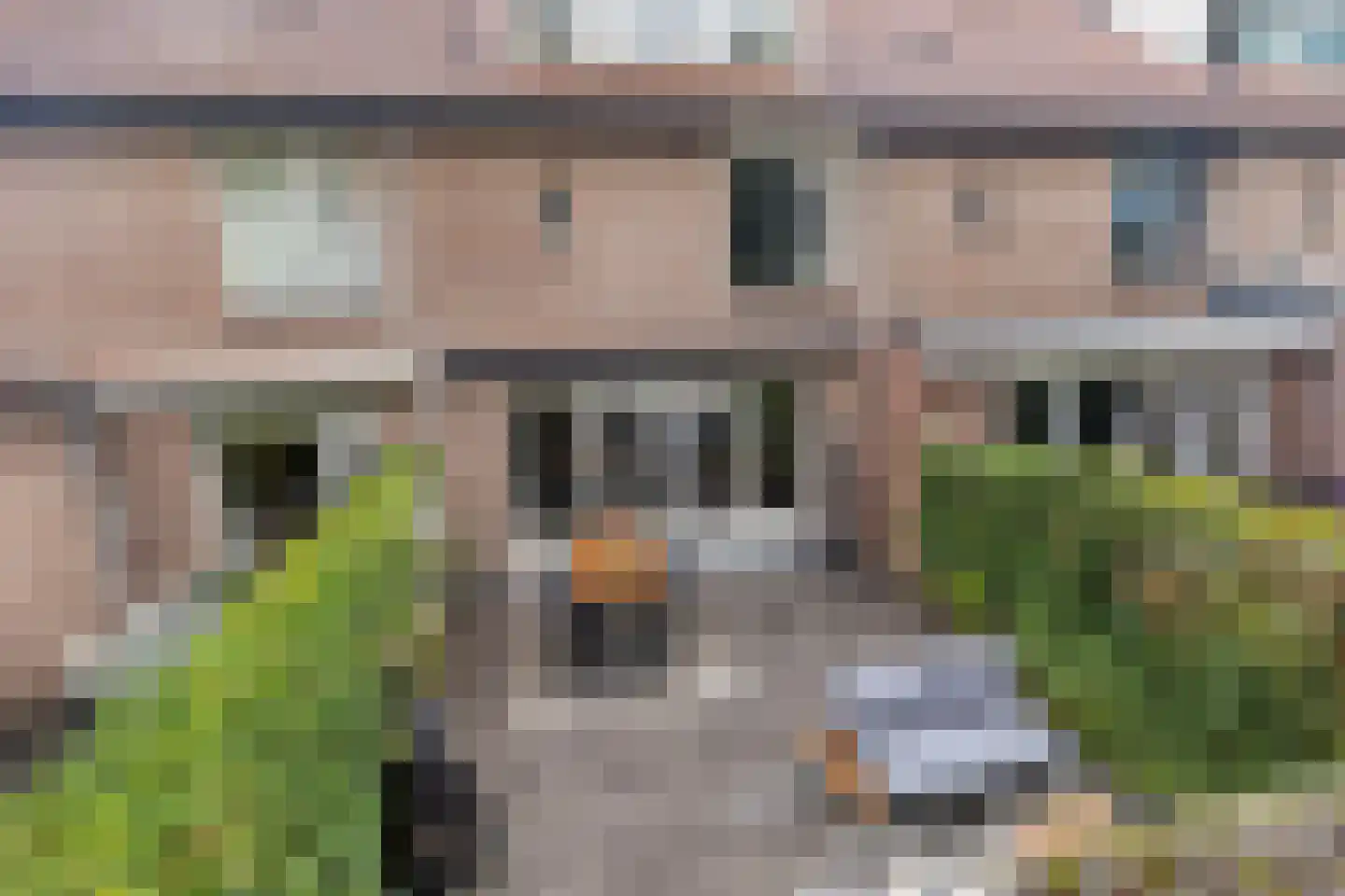 Goudplevier 31 's-Hertogenbosch thumbnail 14
