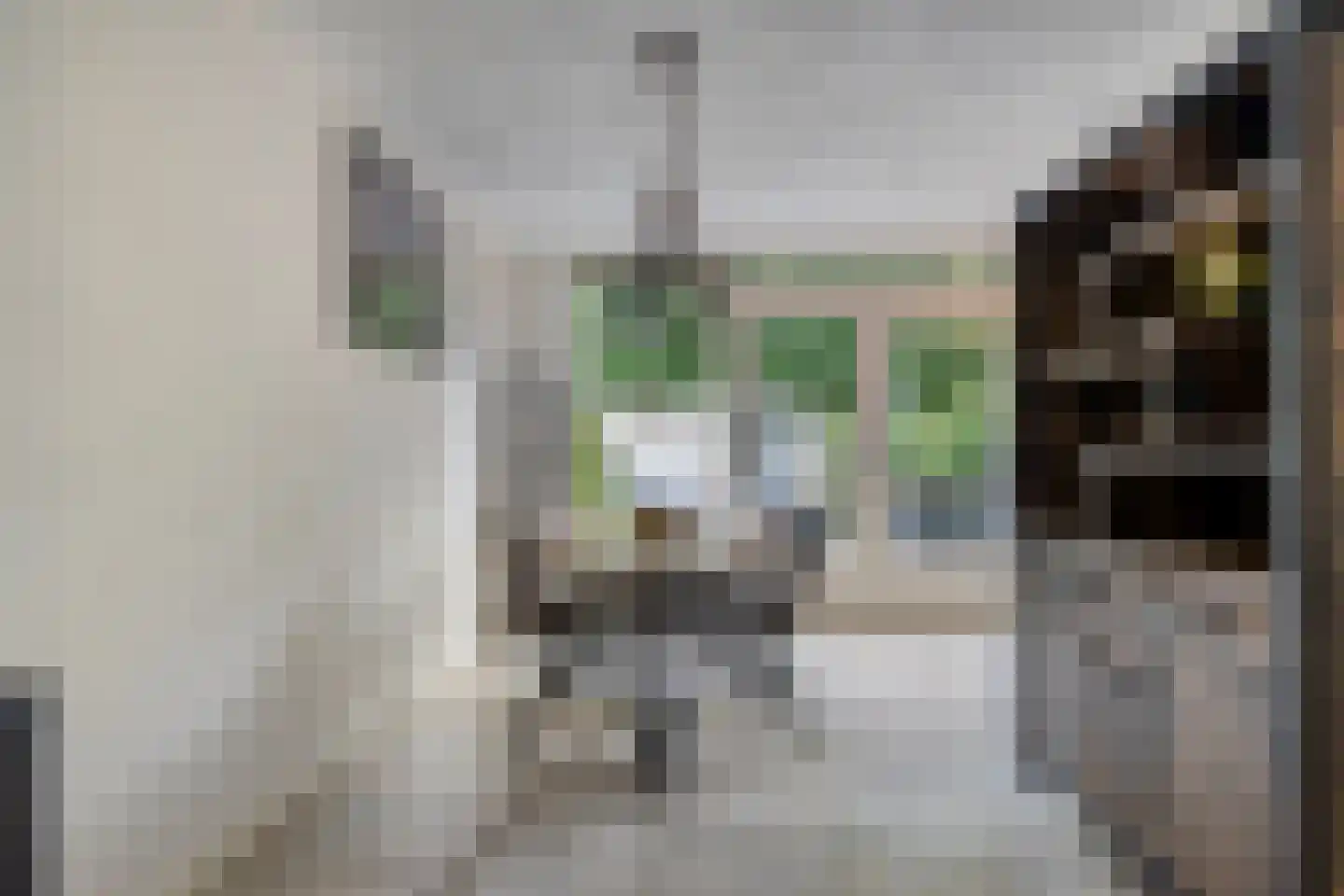 Goudplevier 31 's-Hertogenbosch thumbnail 17