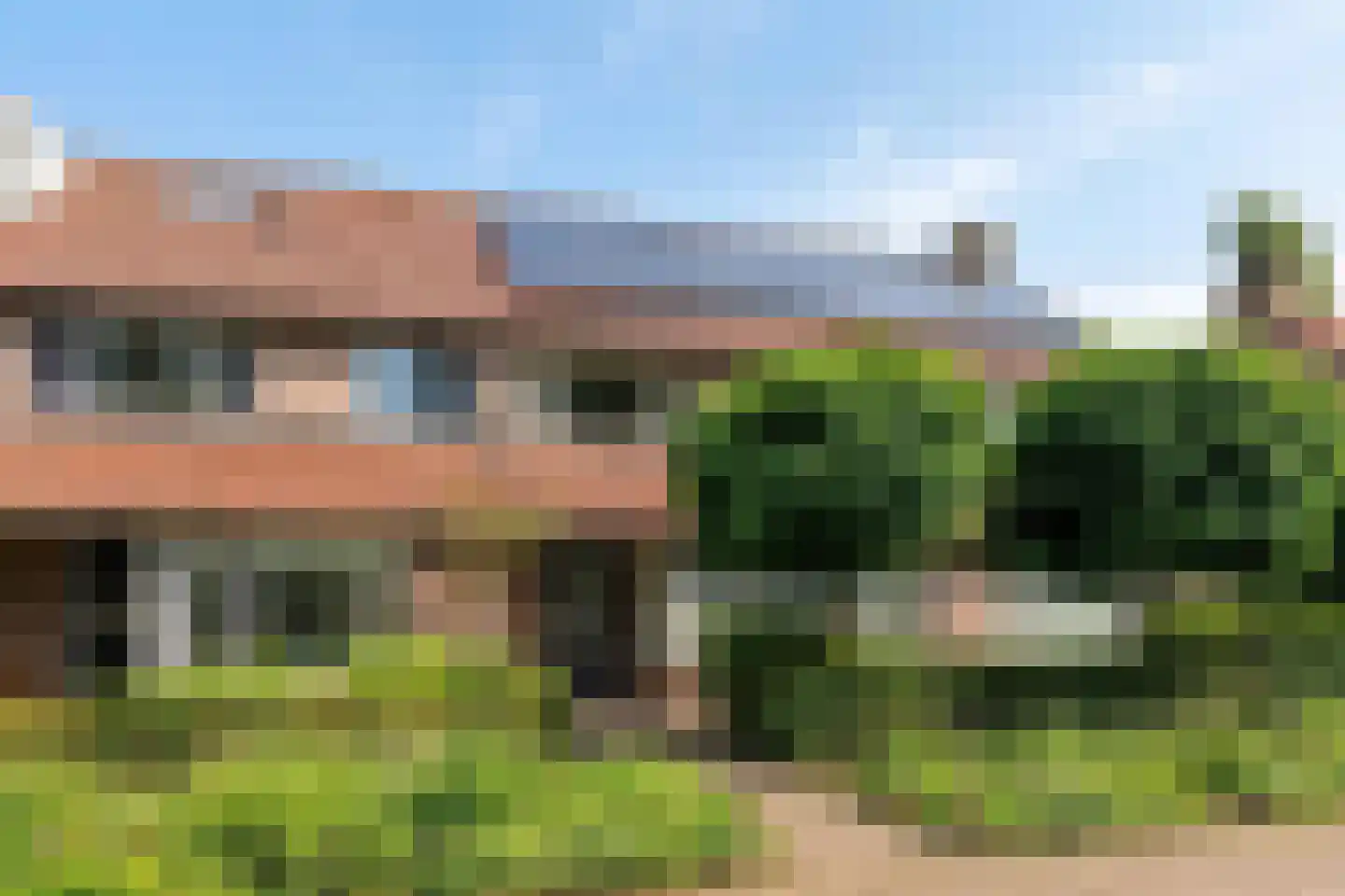 Goudplevier 31 's-Hertogenbosch thumbnail 31