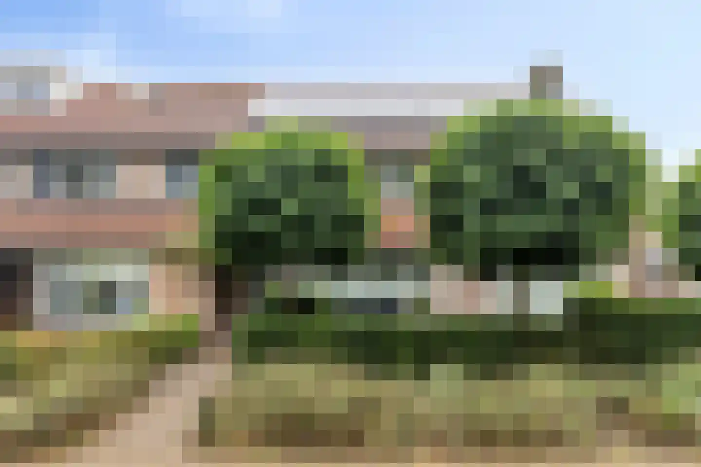 Goudplevier 31 's-Hertogenbosch thumbnail 33