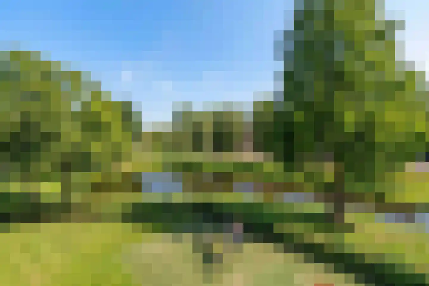 Goudplevier 31 's-Hertogenbosch thumbnail 35
