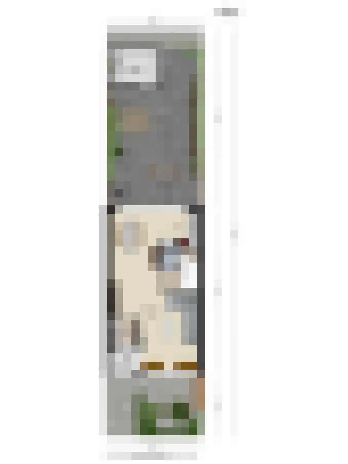 Goudplevier 31 's-Hertogenbosch thumbnail 36
