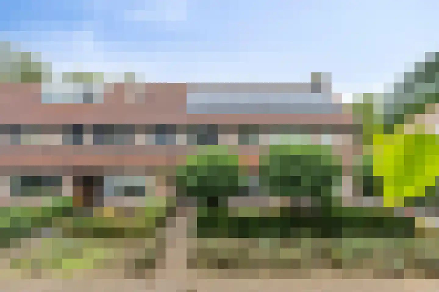 Goudplevier 31 's-Hertogenbosch thumbnail 4