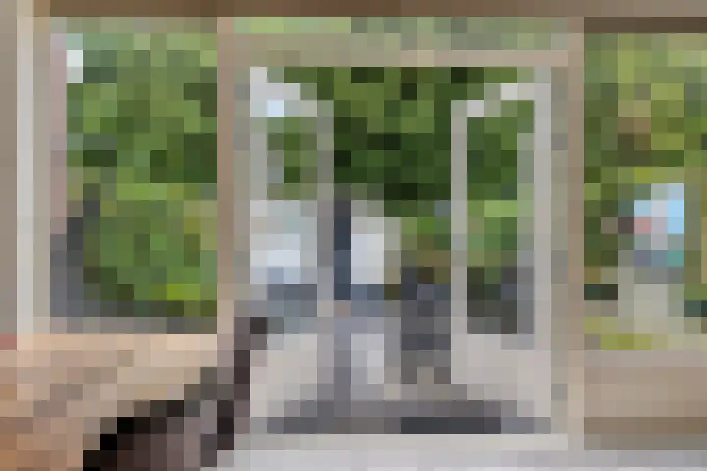 Goudplevier 31 's-Hertogenbosch thumbnail 9