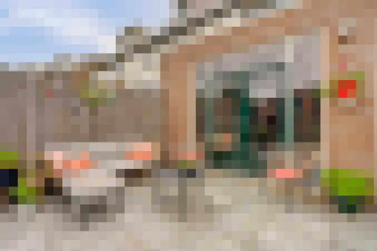 Goudplevier 35 Bodegraven thumbnail 43