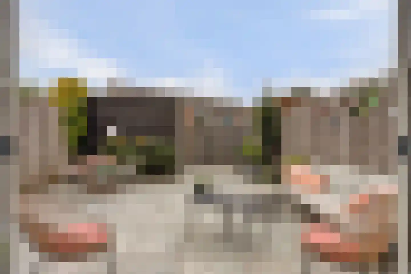 Goudplevier 35 Bodegraven thumbnail 44