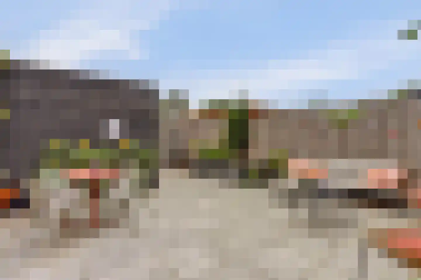Goudplevier 35 Bodegraven thumbnail 45