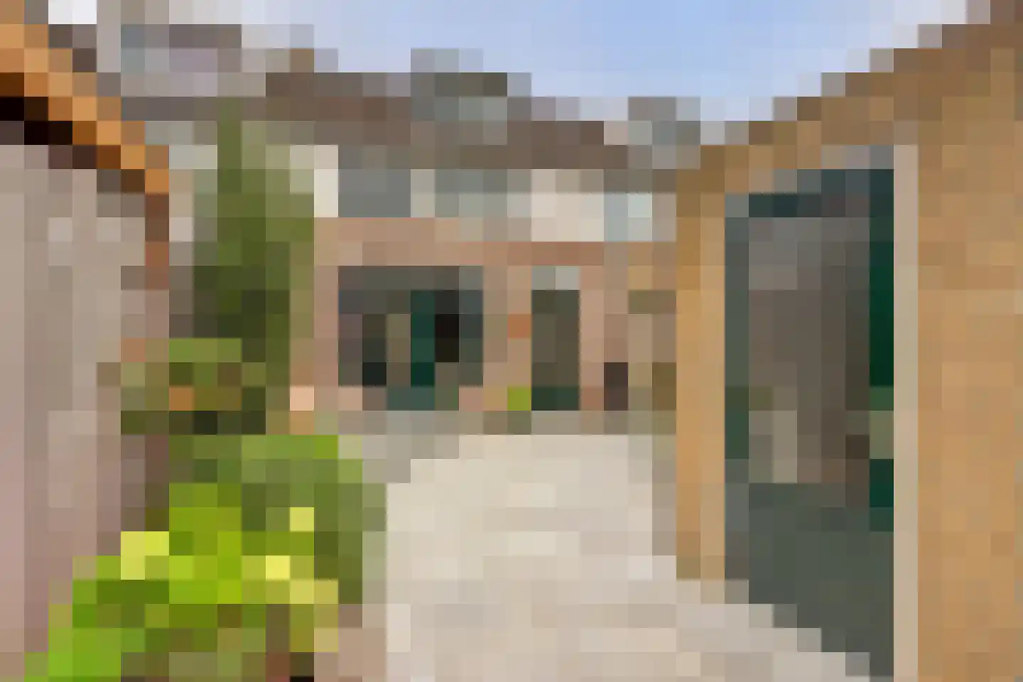 Goudplevier 35 Bodegraven thumbnail 46