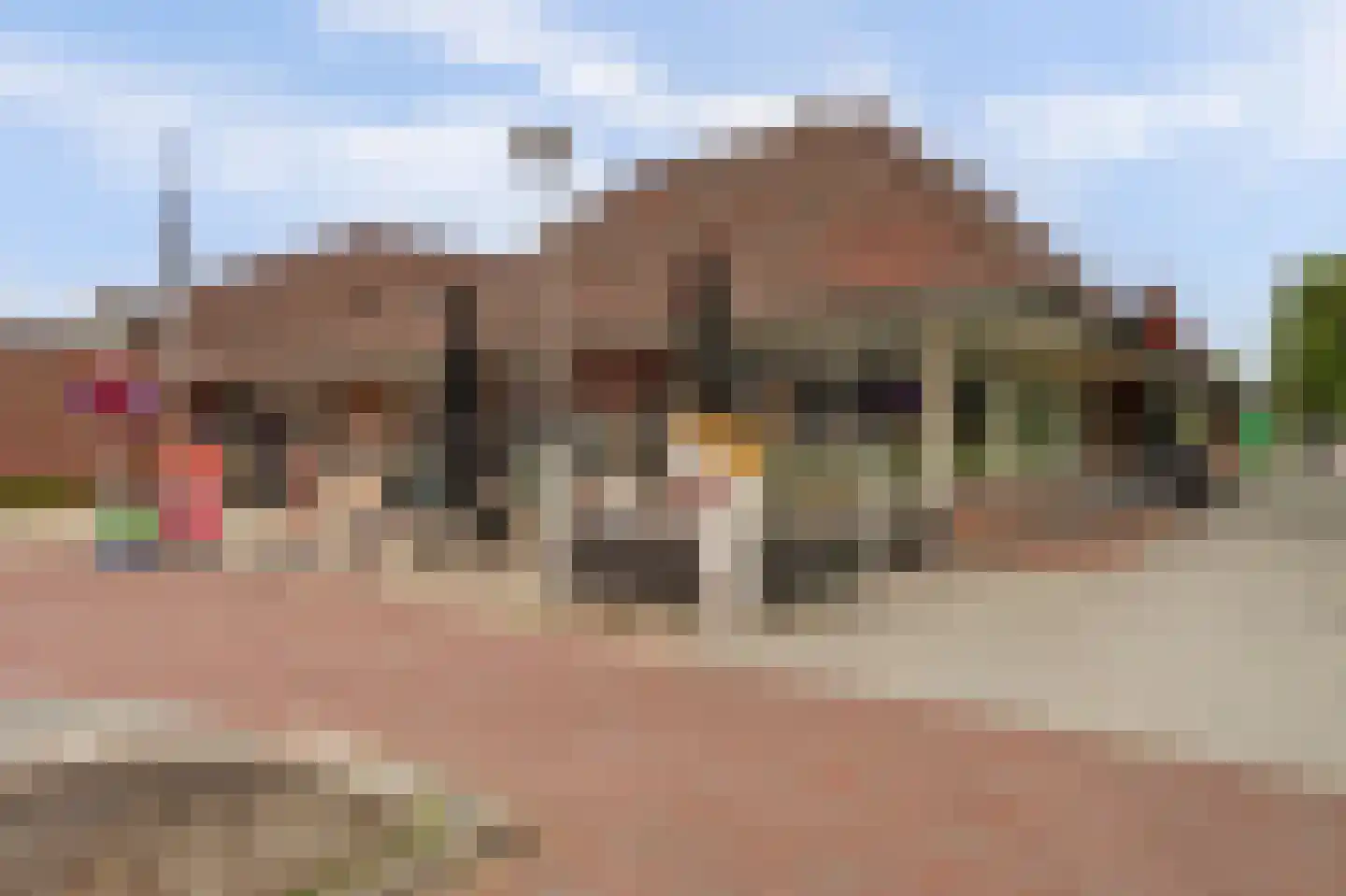 Goudplevier 35 Bodegraven thumbnail 51