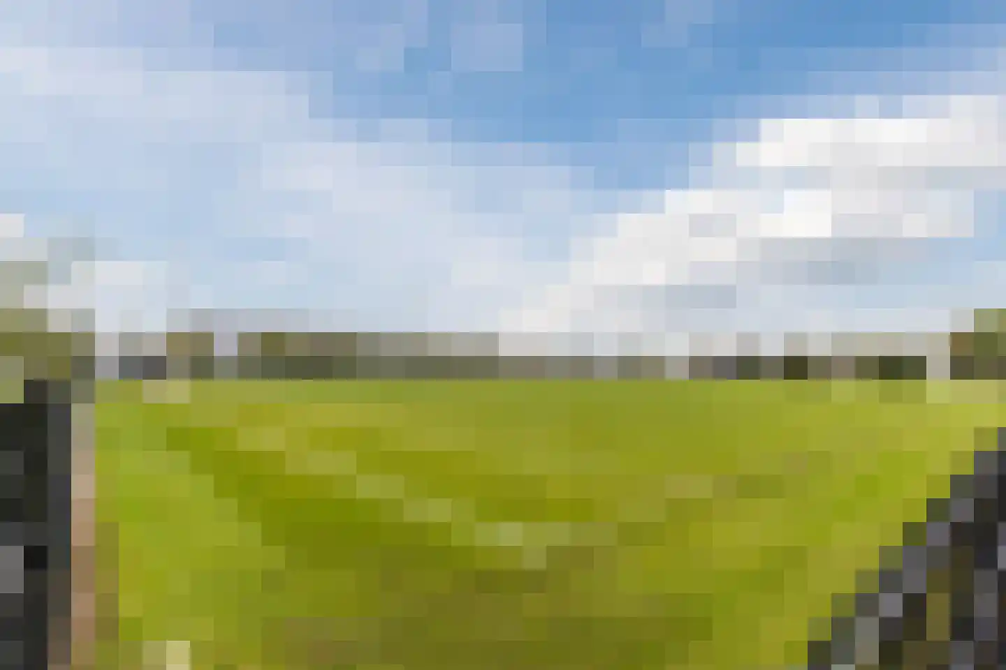 Goudplevier 35 Bodegraven thumbnail 52