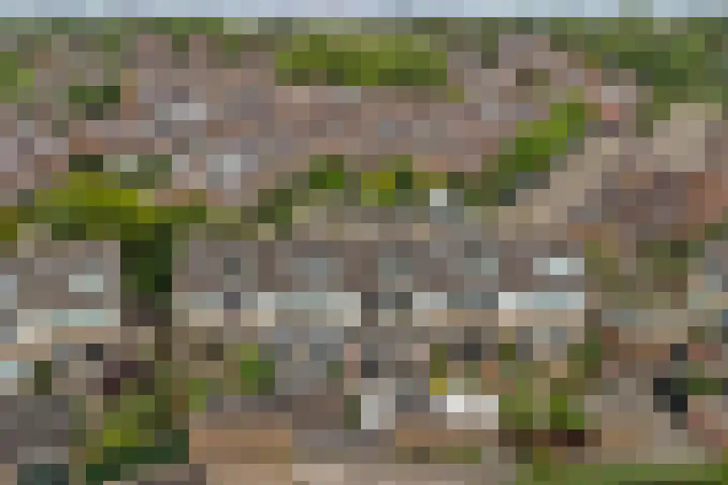 Goudplevier 35 Bodegraven thumbnail 56