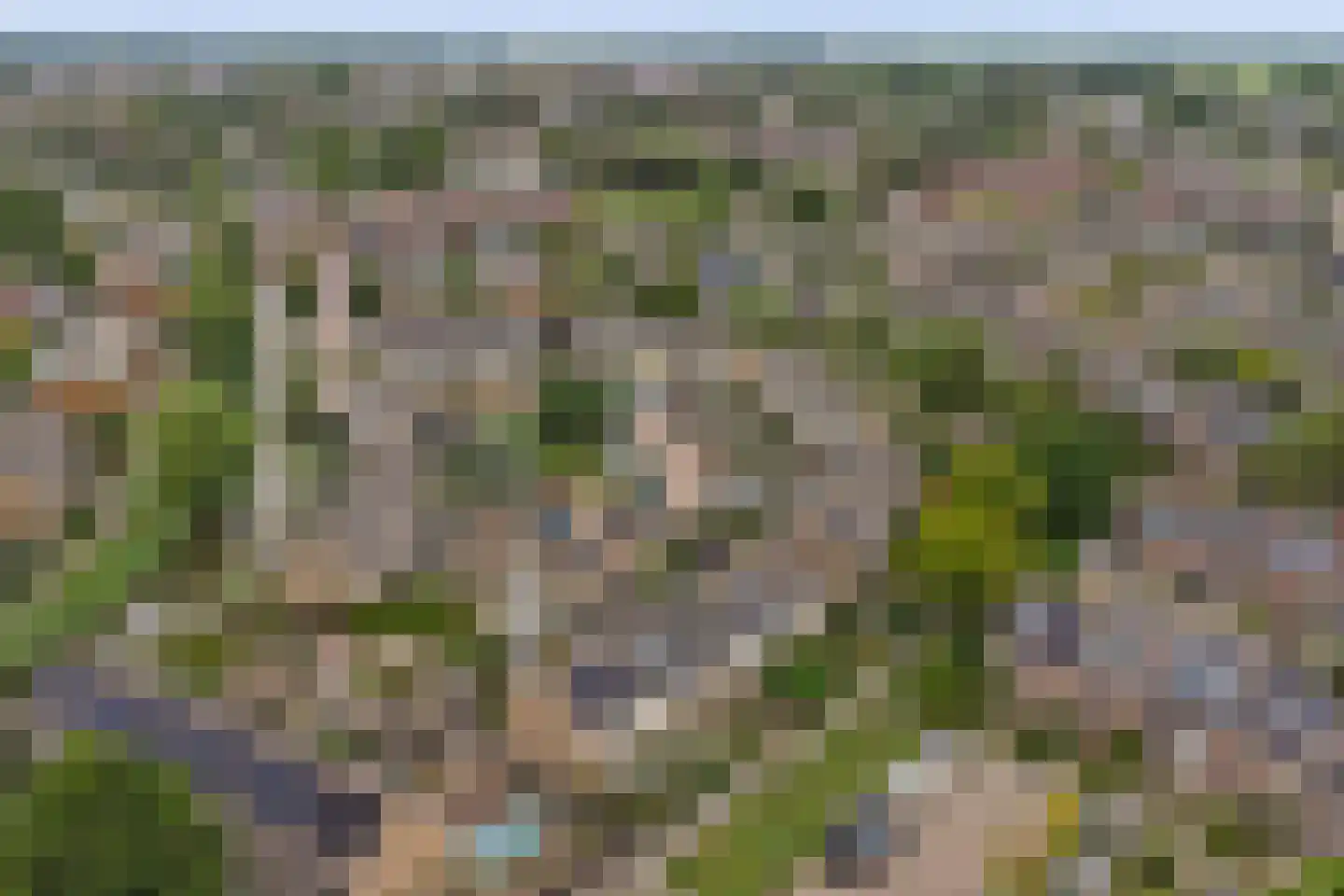 Goudplevier 35 Bodegraven thumbnail 57