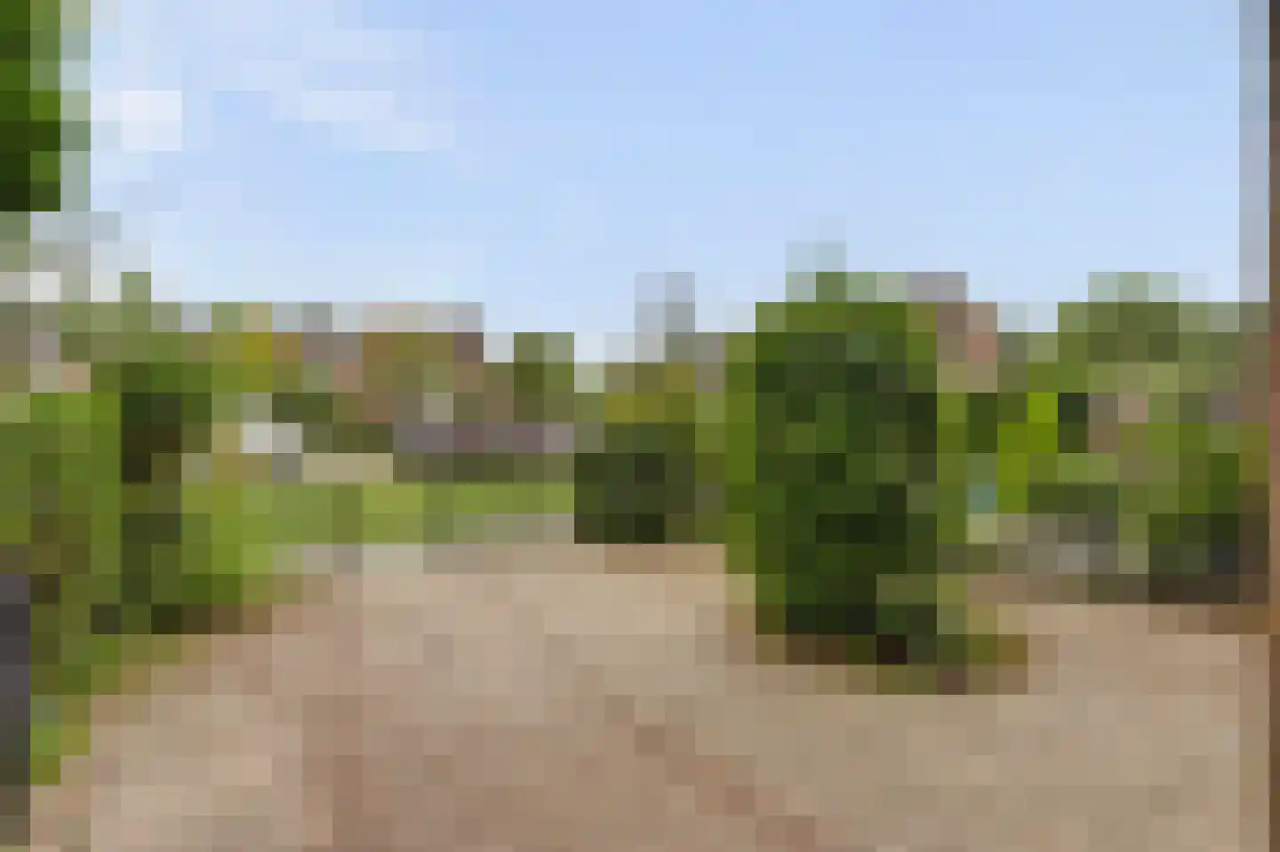 Goudplevier 35 Bodegraven thumbnail 7