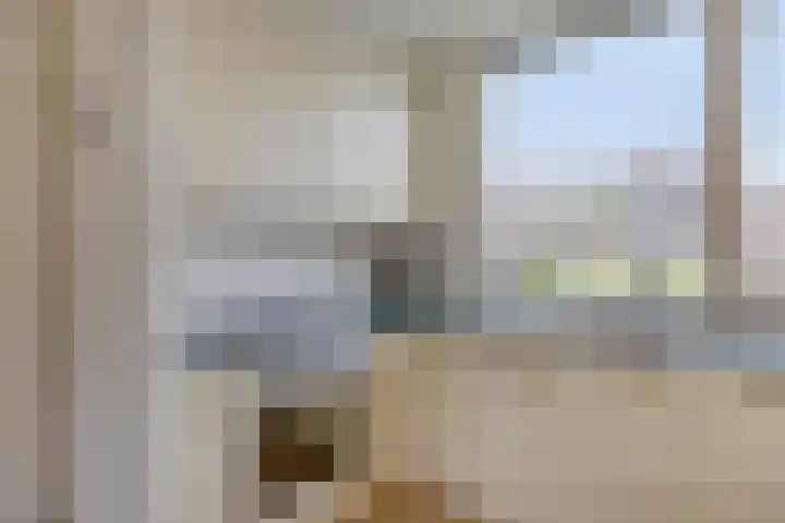 Goudplevier 37 IJsselmuiden thumbnail 18