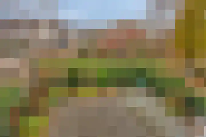 Goudplevier 37 IJsselmuiden thumbnail 22
