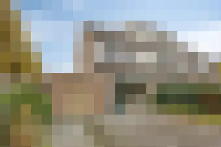 Goudplevier 37 IJsselmuiden thumbnail 33