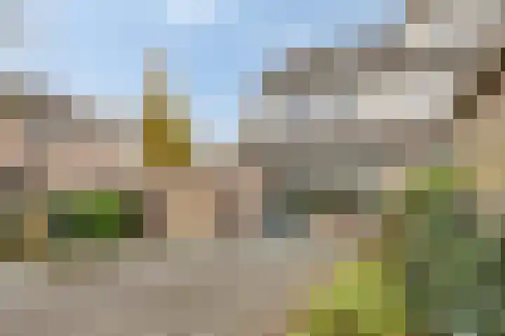 Goudplevier 37 IJsselmuiden thumbnail 34