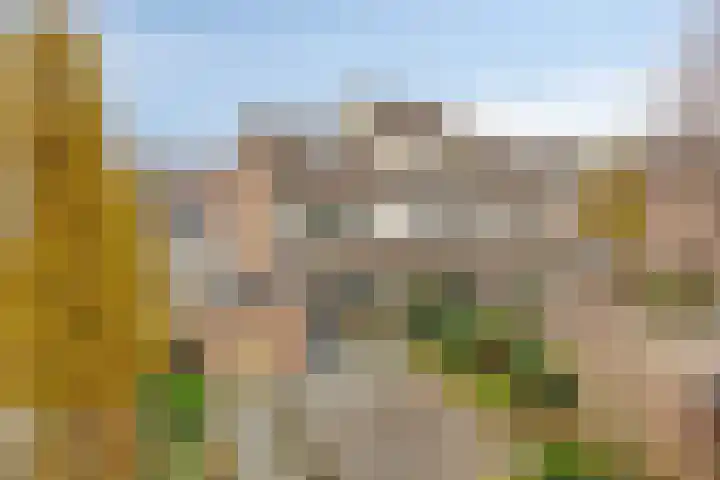 Goudplevier 37 IJsselmuiden thumbnail 35