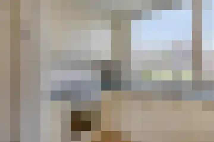 Goudplevier 37 IJsselmuiden thumbnail 4
