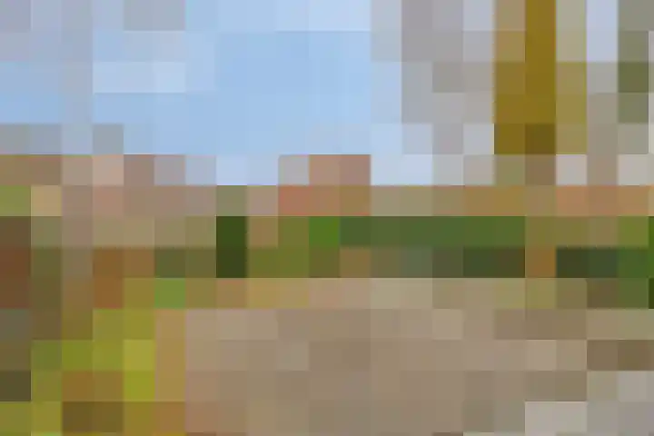 Goudplevier 37 IJsselmuiden thumbnail 5
