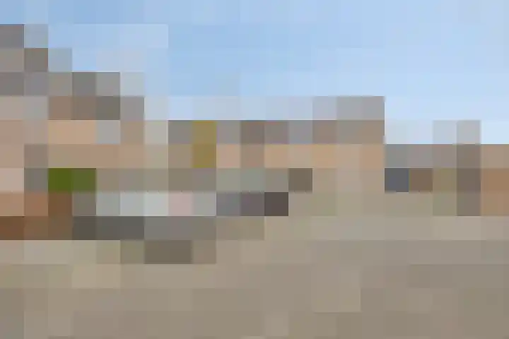 Goudplevier 37 IJsselmuiden thumbnail 7