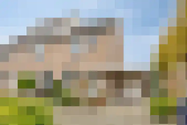 Goudplevier 37 IJsselmuiden thumbnail 8