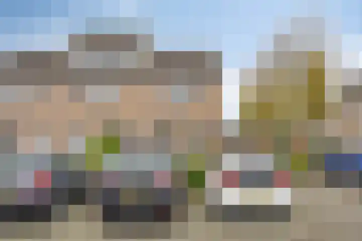 Goudplevier 37 IJsselmuiden thumbnail 9