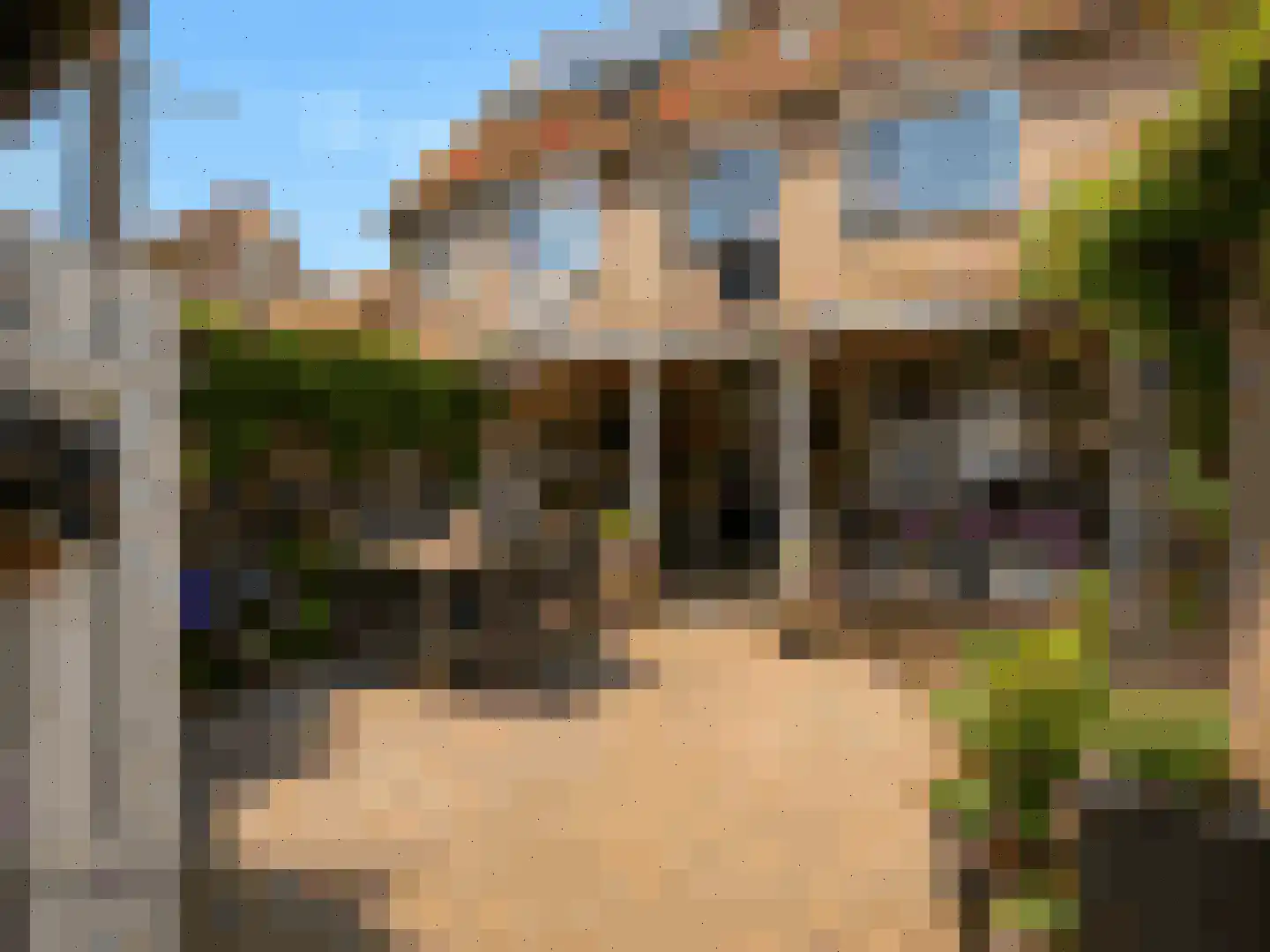 Goudplevier 37 IJsselstein thumbnail 14