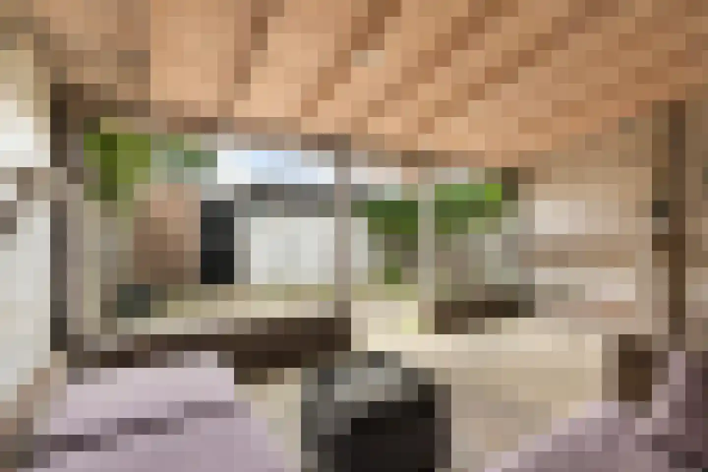 Goudplevier 37 IJsselstein thumbnail 4