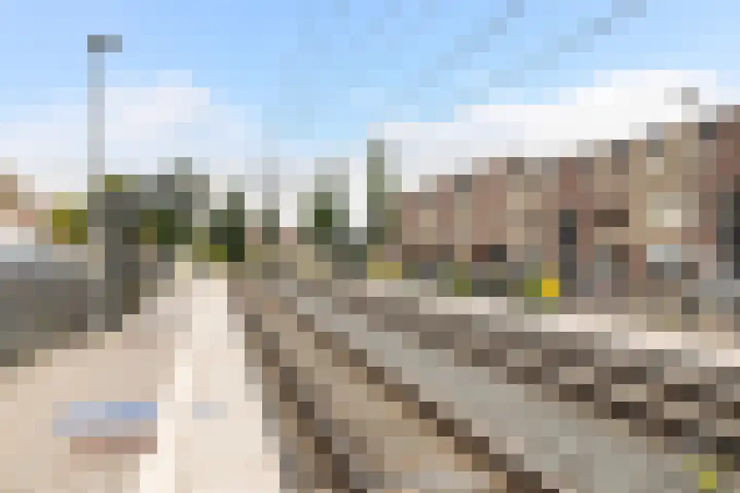 Goudplevier 37 IJsselstein thumbnail 41