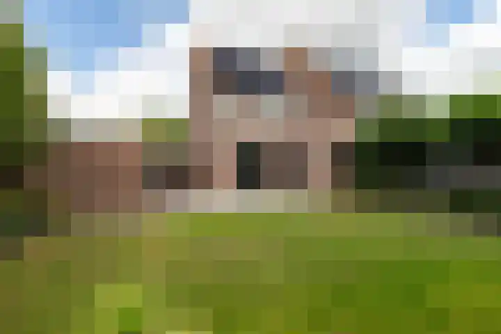 Goudplevier 38 Waspik thumbnail 10