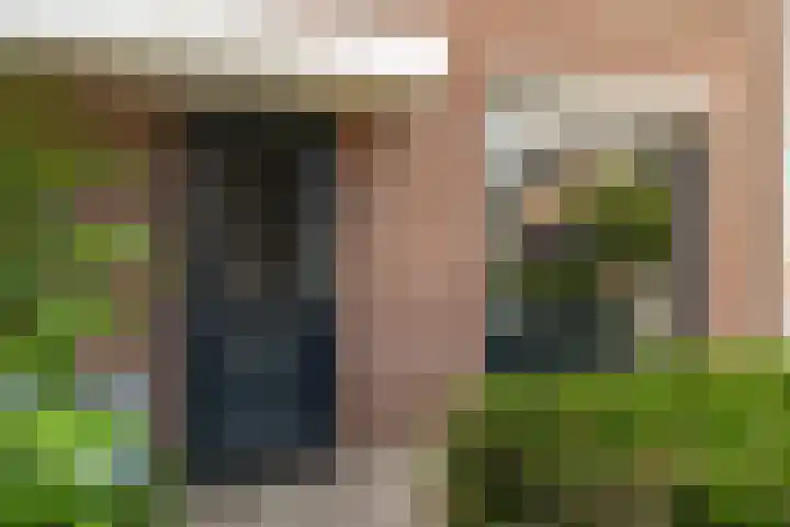 Goudplevier 38 Waspik thumbnail 12