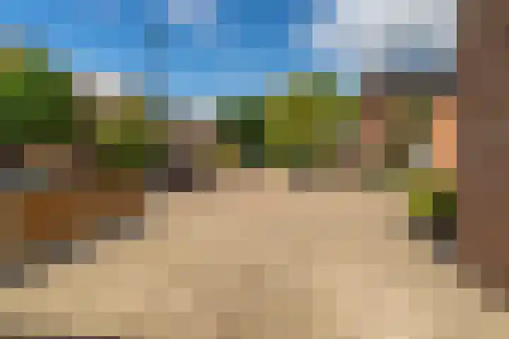 Goudplevier 38 Waspik thumbnail 14