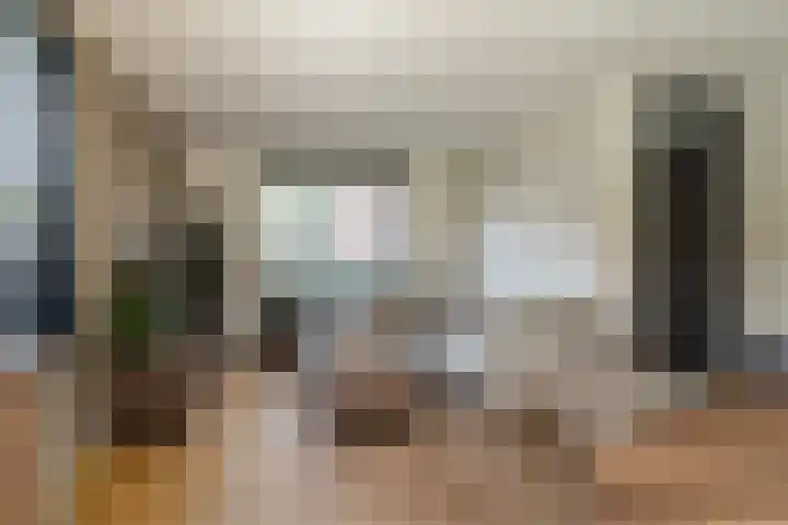 Goudplevier 38 Waspik thumbnail 18