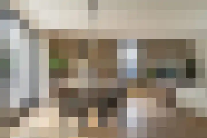 Goudplevier 38 Waspik thumbnail 20