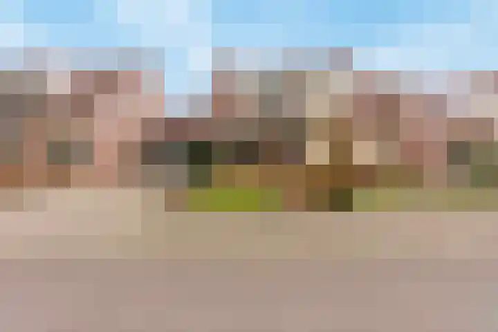 Goudplevier 38 Waspik thumbnail 22
