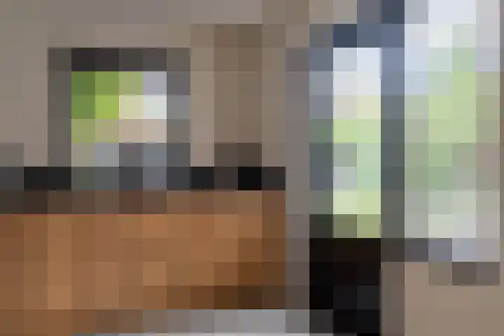 Goudplevier 38 Waspik thumbnail 23