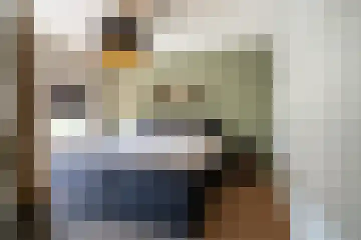 Goudplevier 38 Waspik thumbnail 25