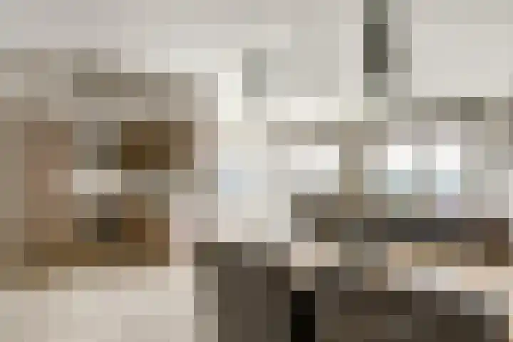 Goudplevier 38 Waspik thumbnail 28