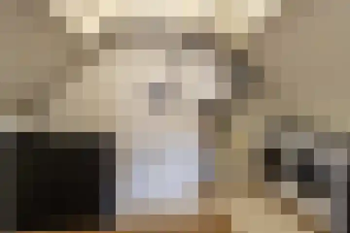 Goudplevier 38 Waspik thumbnail 33