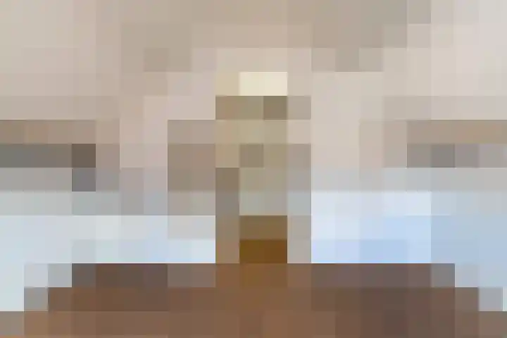 Goudplevier 38 Waspik thumbnail 35