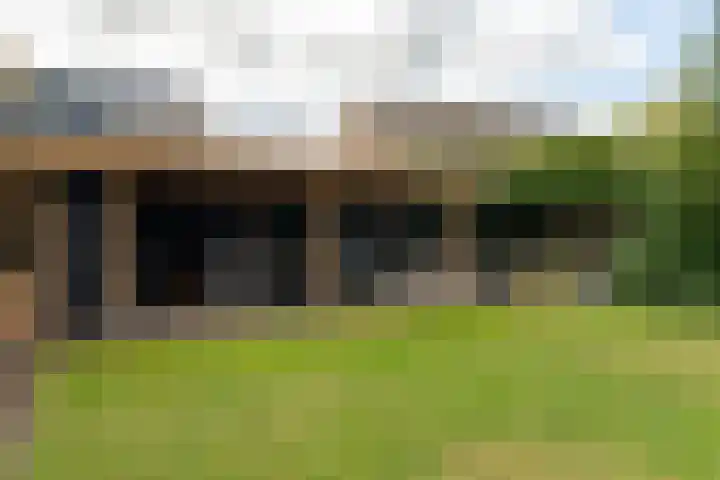 Goudplevier 38 Waspik thumbnail 5