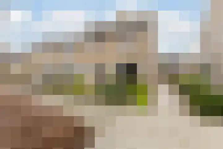 Goudplevier 38 Waspik thumbnail 6