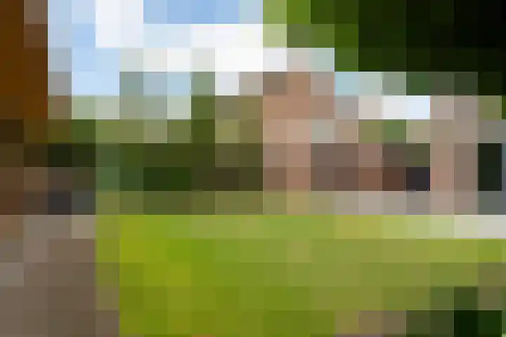 Goudplevier 38 Waspik thumbnail 6